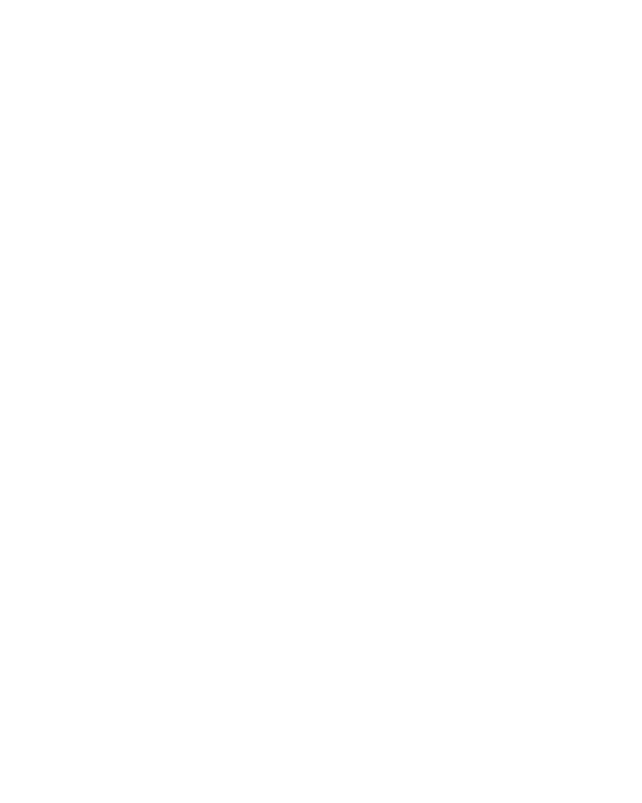 Capoeira em Movimento Bahia